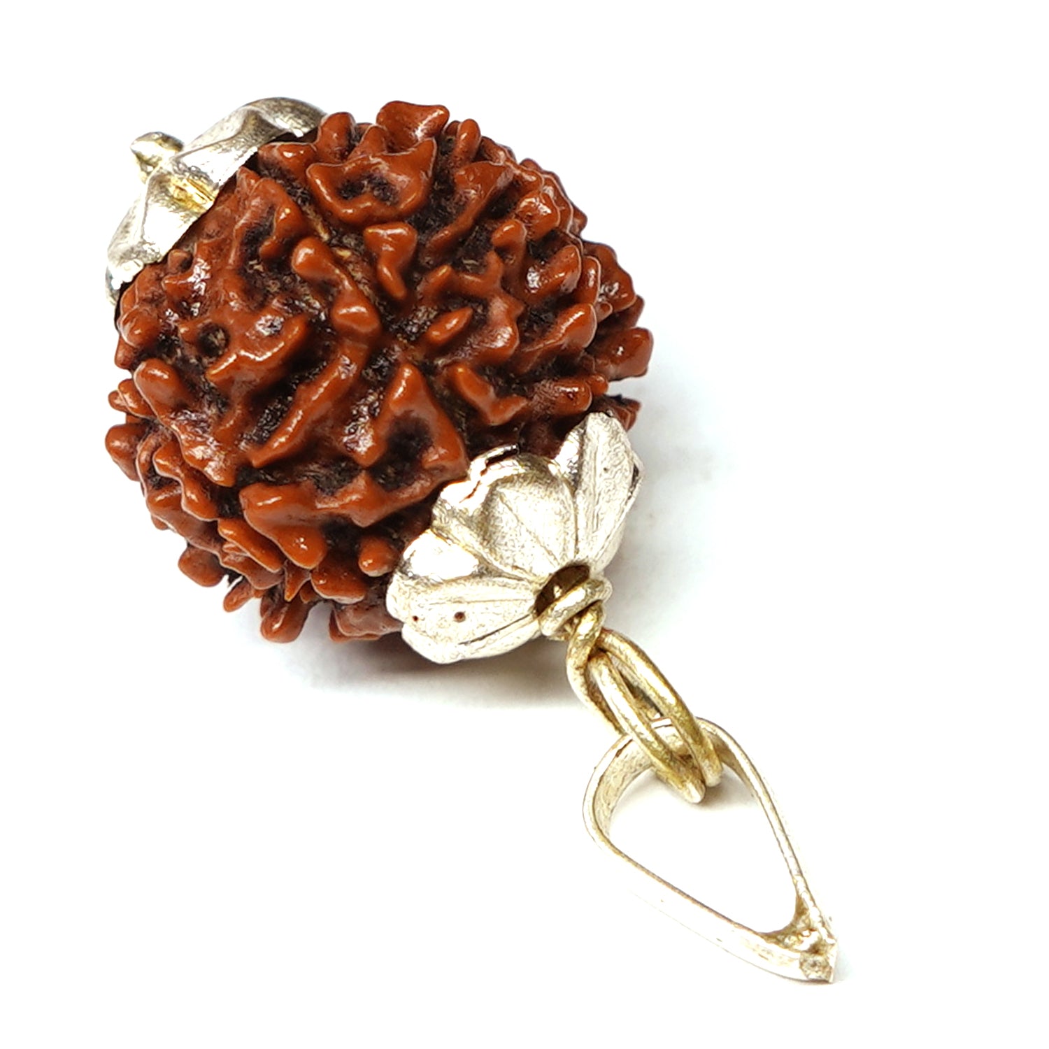 100% Natural Nepali 7 Mukhi Rudraksha