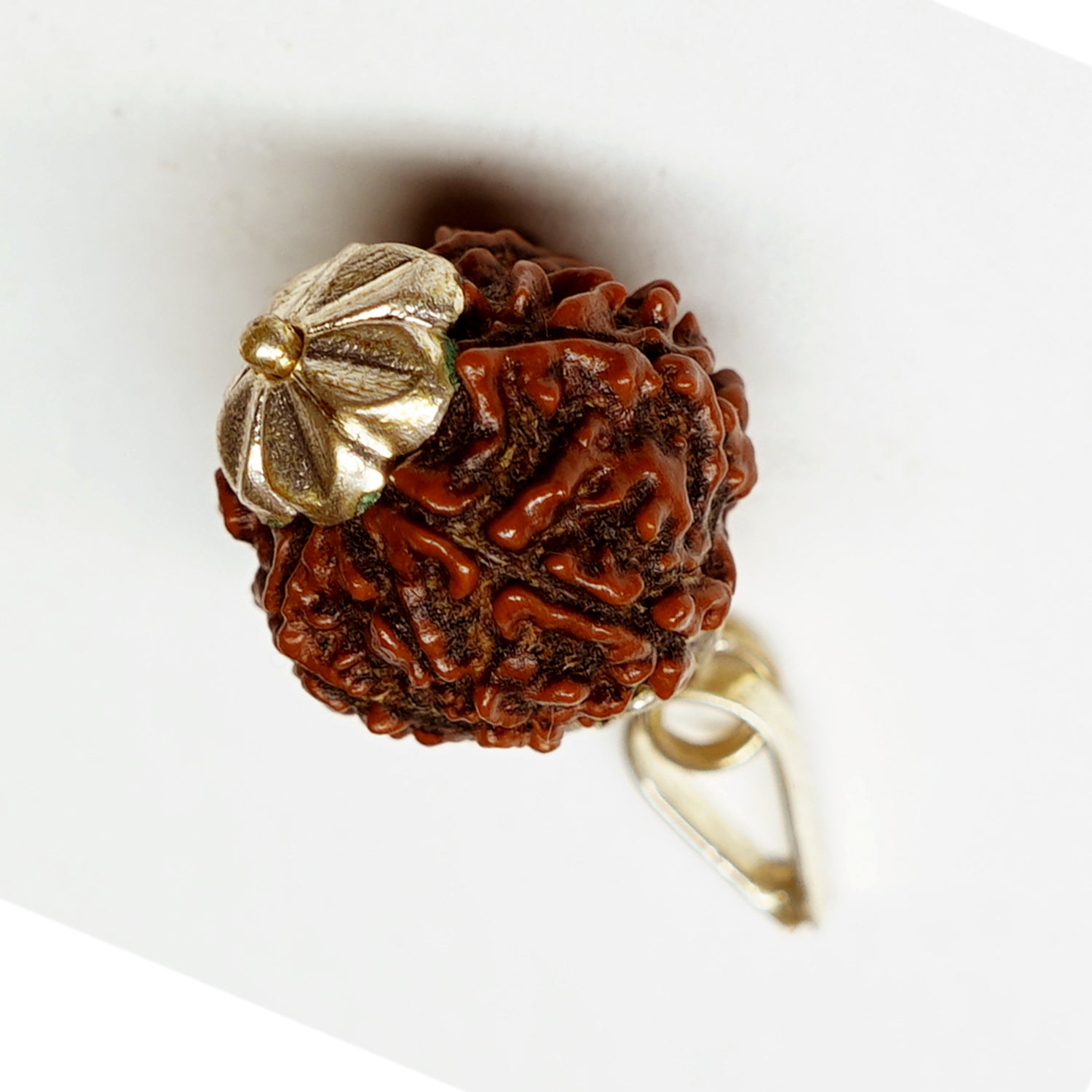 100% Natural Nepali 7 Mukhi Rudraksha (3.33 Gram)