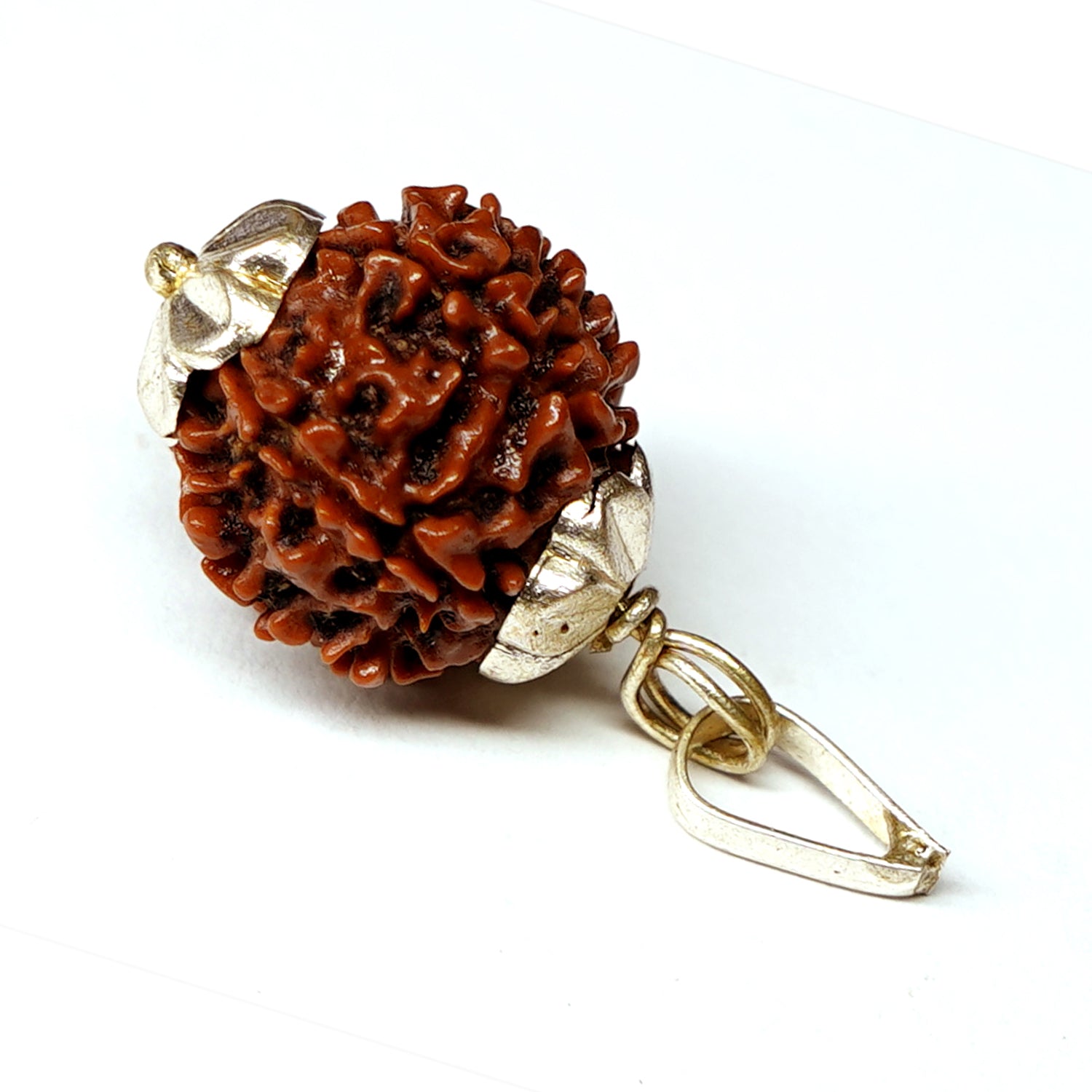 100% Natural Nepali 7 Mukhi Rudraksha