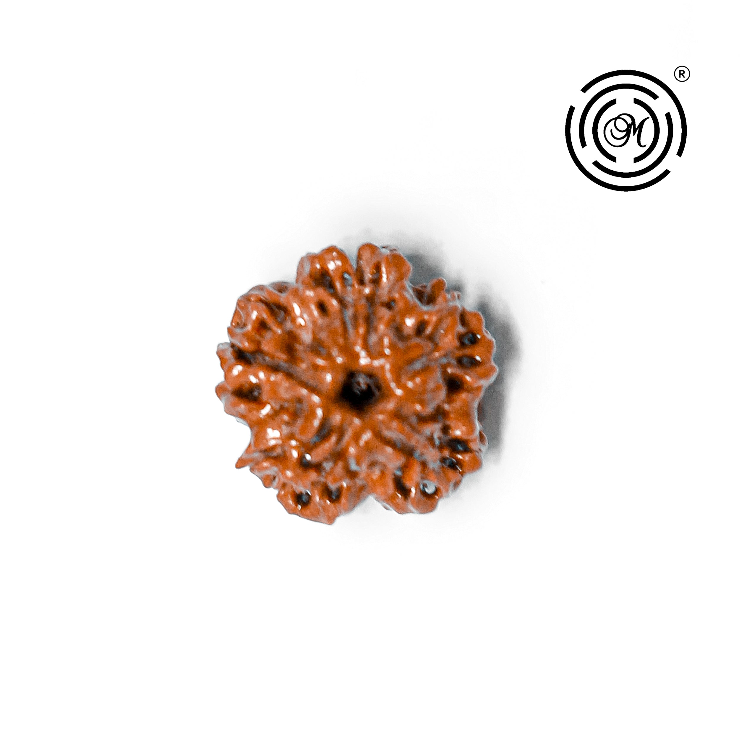 100% Natural Nepali EK Mukhi Rudraksha