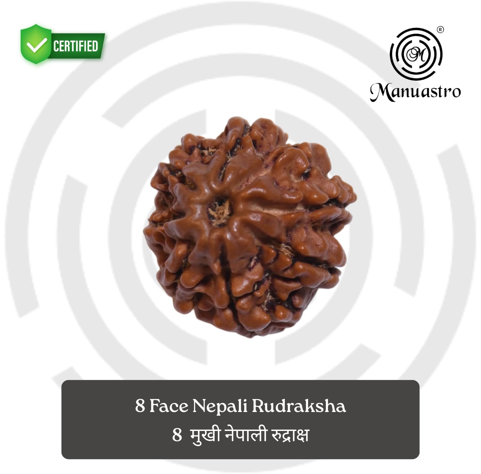 100% Natural Nepali 8 Mukhi Rudraksha (3.76 Gram)