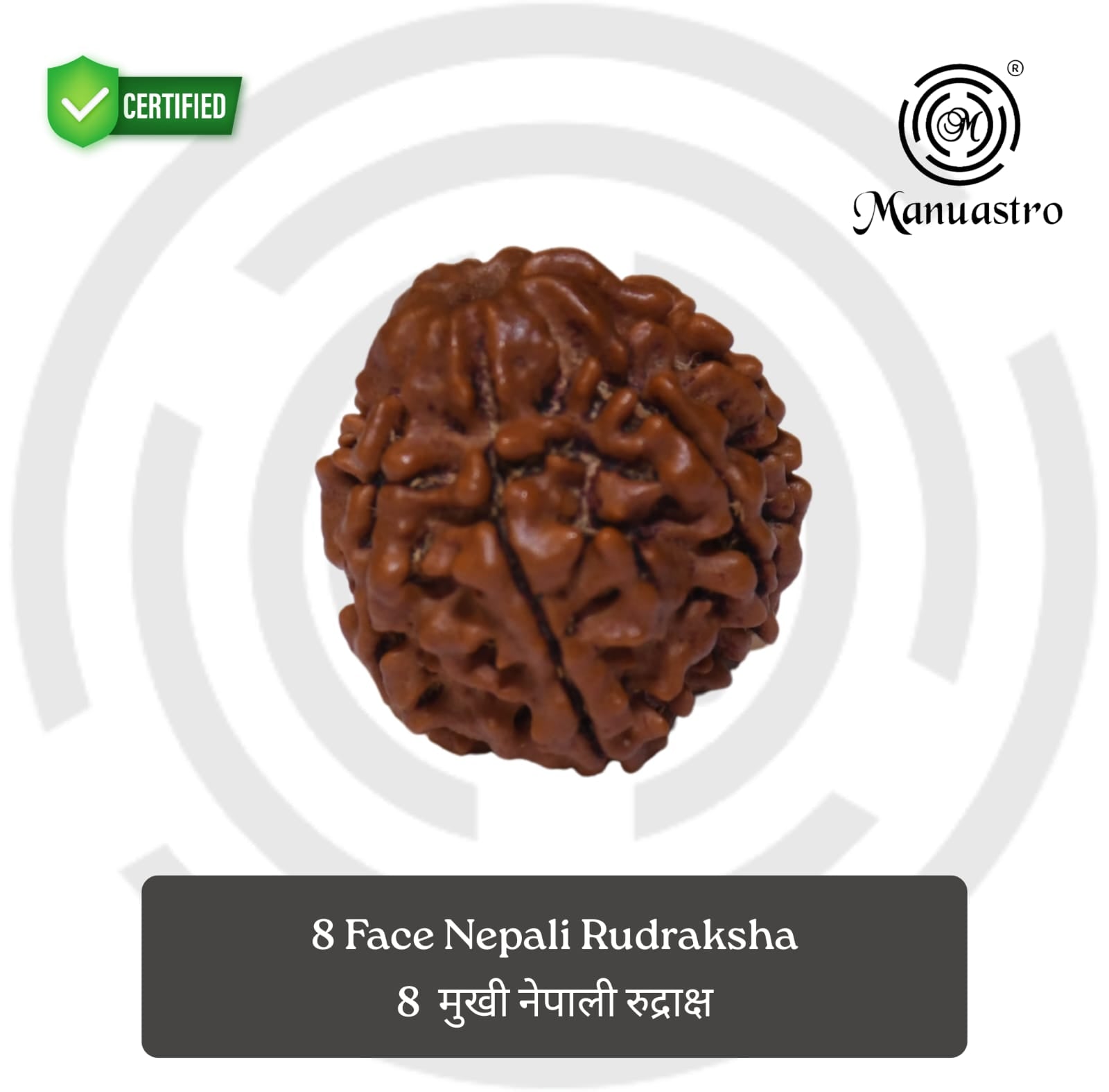 100% Natural Nepali 8 Mukhi Rudraksha (3.76 Gram)