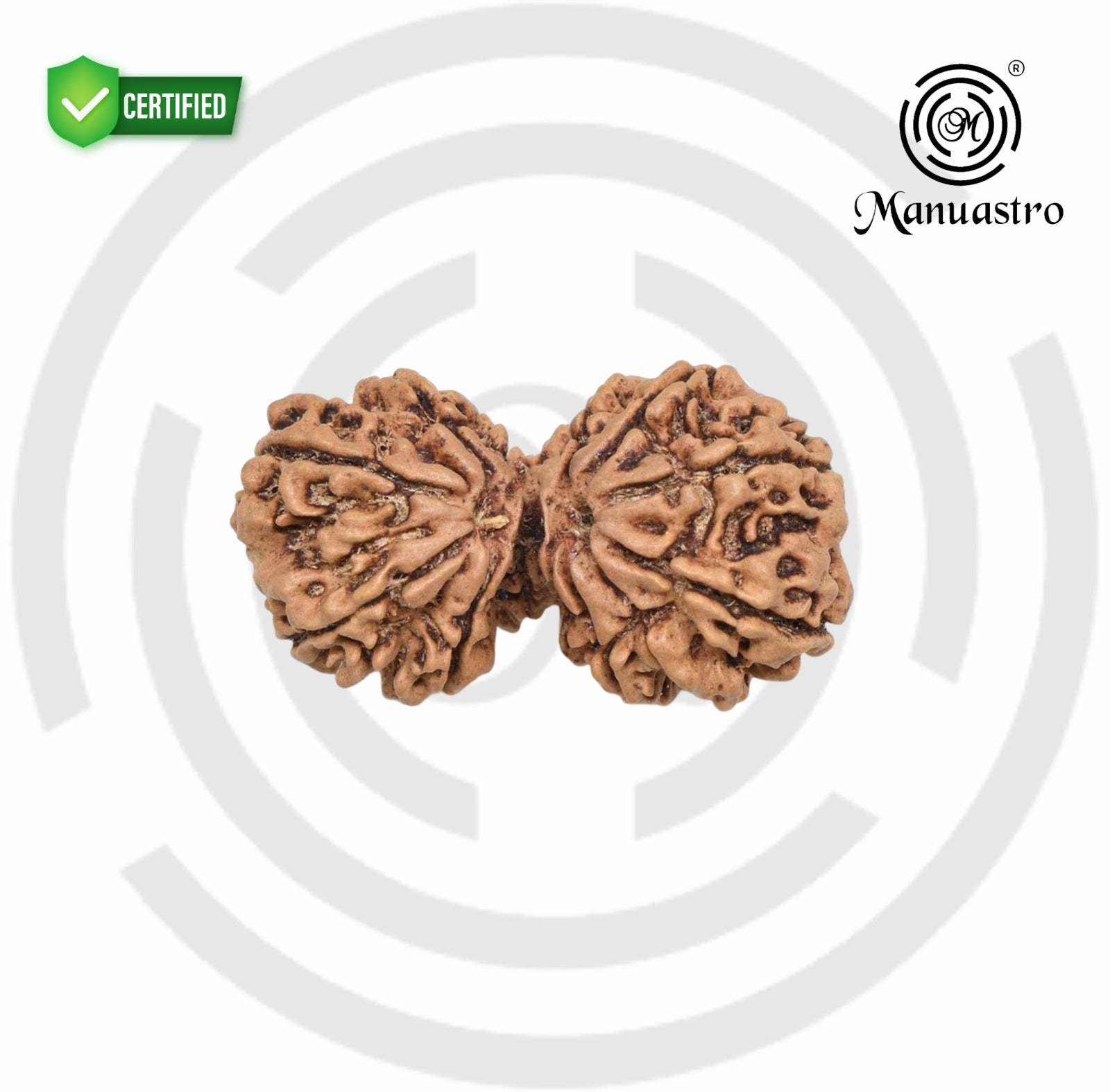 Natural Gauri Shankar Ganesh Rudraksha (2.25 Gram)