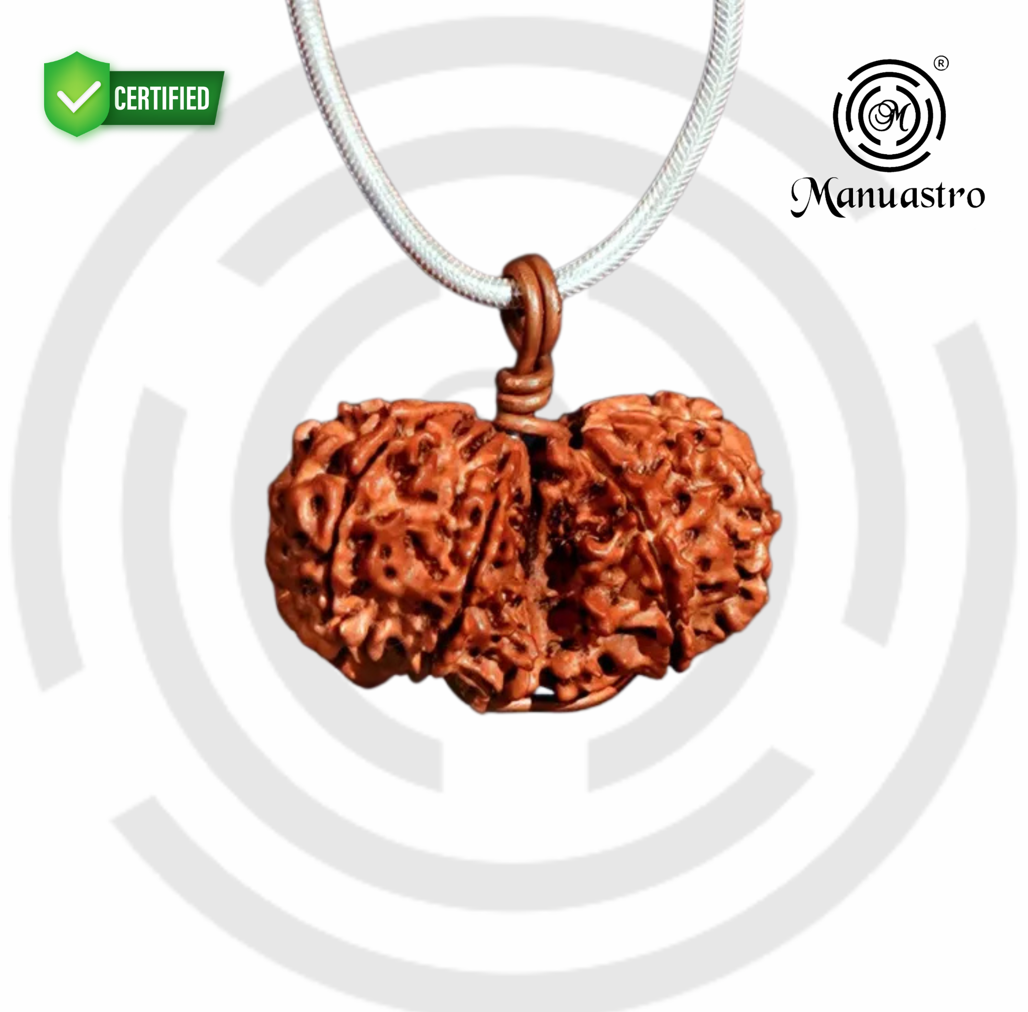 Natural Gauri Shankar Rudraksha(3.67 Gram)