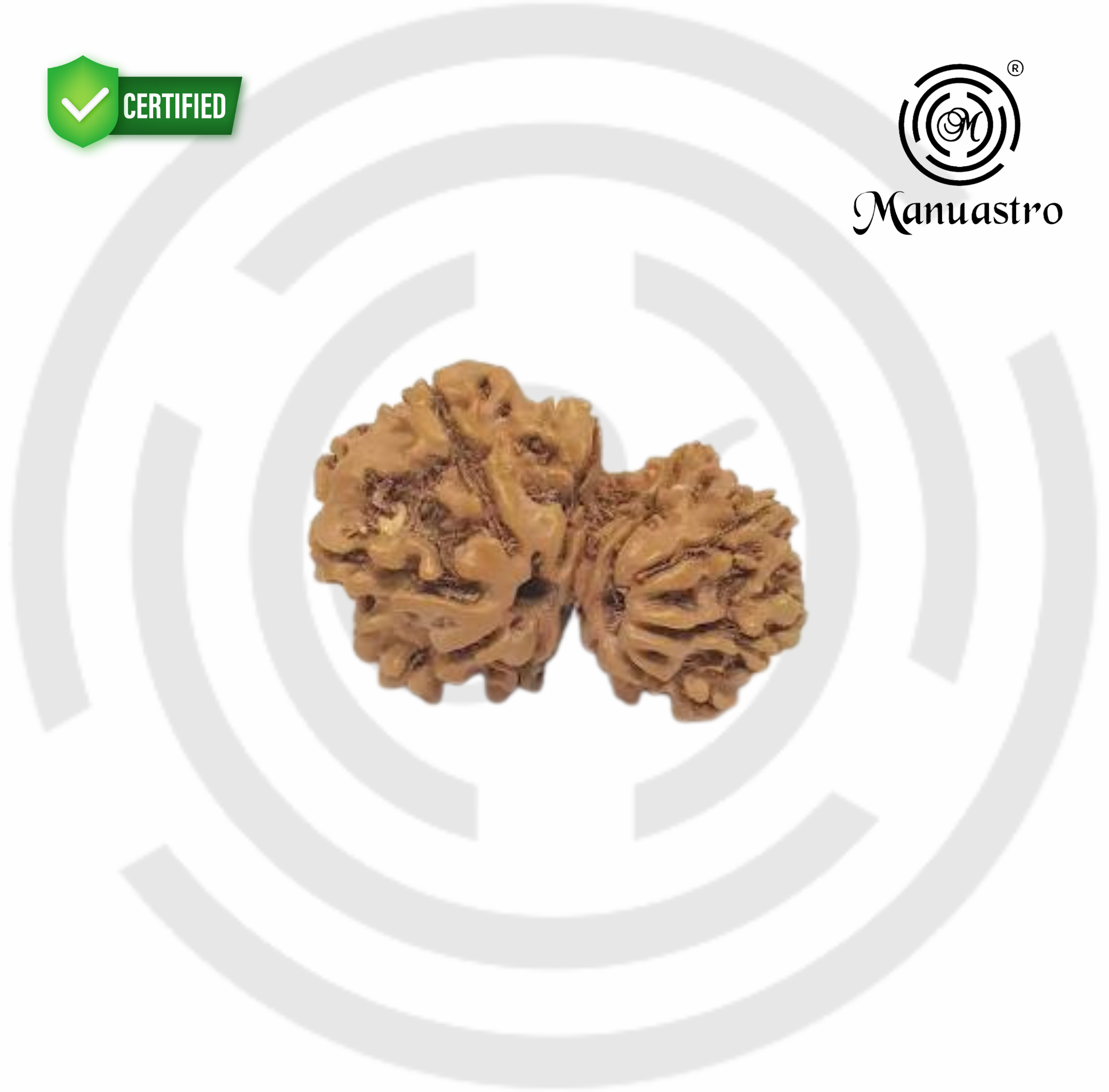 100% Natural Nepali Garbh Gauri Rudraksha (2.53Gram)